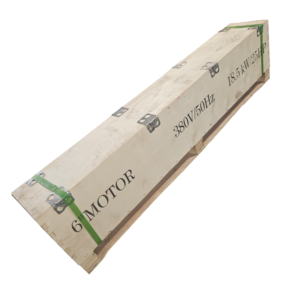 6" Borehole Motor 380V 18.5KW Box (6-185380M)
