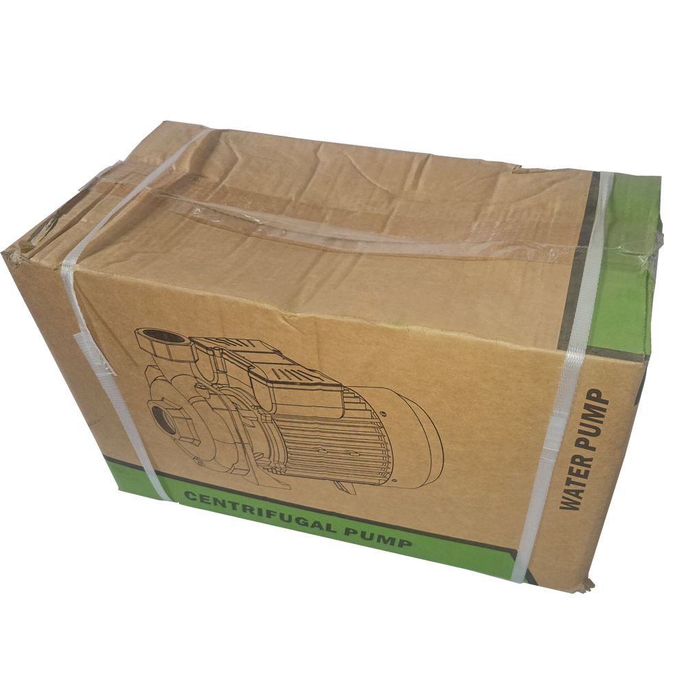 Centrifugal Pump 220V 2.2KW (HSM80) - Image 2