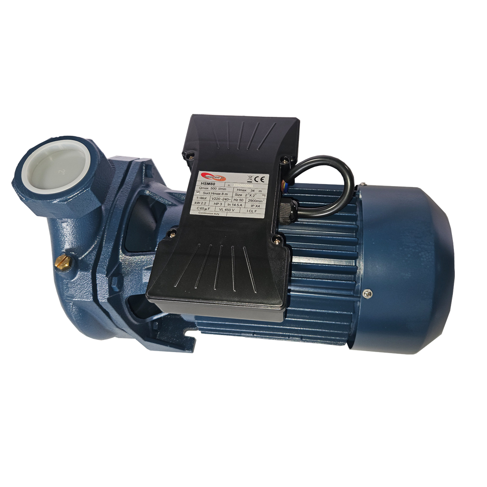 Centrifugal Pump 220V 2.2KW (HSM80)