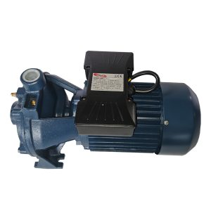 Centrifugal Pump Twin Impeller 220V 2.2KW (2HCM25-160A)